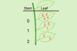 Stem and leaf plots Image