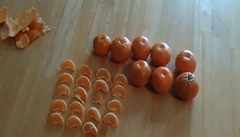 Rows of oranges Image