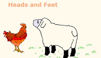 Heads and feet Image