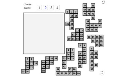 100 Square Jigsaw Image