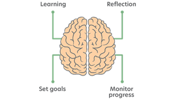 Metacognitive strategies Image