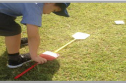 reSolve: Authentic problems – Target Ball Image