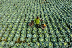 Patterns and number facts: Year 5 – planning tool Image