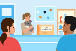 Mathematical modelling: Year 5 – planning tool Image