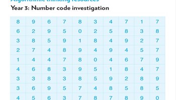 Year 3: Number code investigation Image