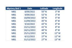 Osprey position and location Image