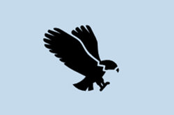 Flight of the osprey infographic Image