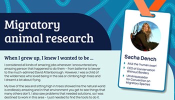 Career profile: Sacha Dench, Migratory animal research scientist Image