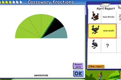 Cassowary fractions Image