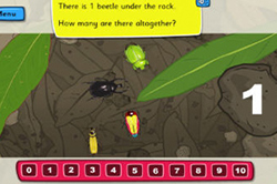 Counting beetles Image