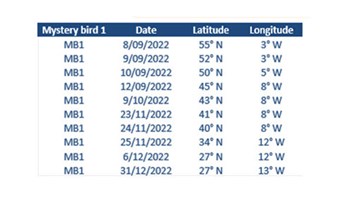Osprey position and location Image