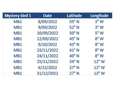 Osprey position and location Image