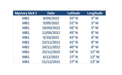 Osprey position and location Image