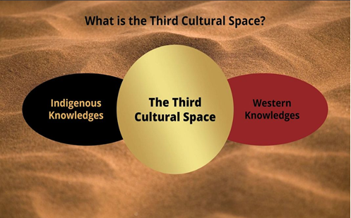 Third Cultural Space diagram