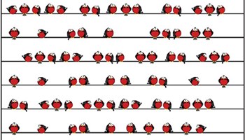 reSolve: Skip counting: How many birds? Image