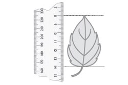 Desk through the doorway  Image