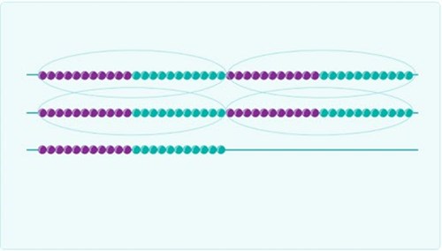 A bead string grid consisting of three rows. The first two rows have two sets of green and purple beads with each set having 11 beads. The third row has one set of green and purple beads with each set having 11 beads.