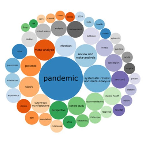 Covid 19 Pandemic 2