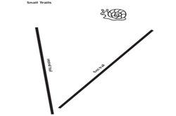 Snail trails Image