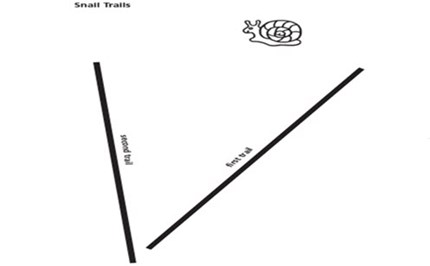 Snail trails Image
