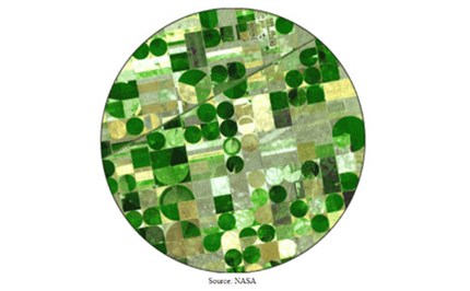 Circles and cylinders: Year 8 – planning tool Image