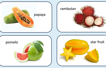 Fruits of Asia including papaya, rambutan, pomelo and star fruit