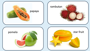 Fruit fractions: Gardeners of fractions Image