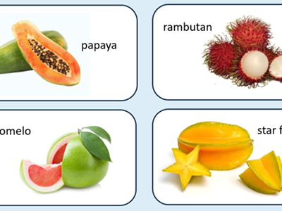 Fruits of Asia including papaya, rambutan, pomelo and star fruit