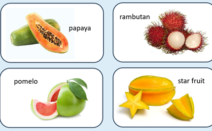 Fruit fractions: Gardeners of fractions Image