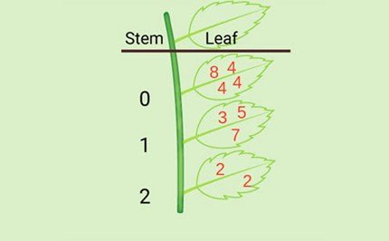 Stem and leaf plots Image