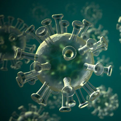 Corona Virus Covid 19