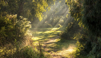 Navigating our way through Country  Image