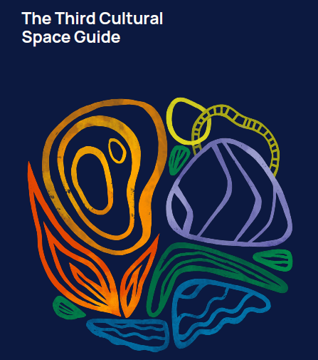 The Third Cultural Space Guide cover