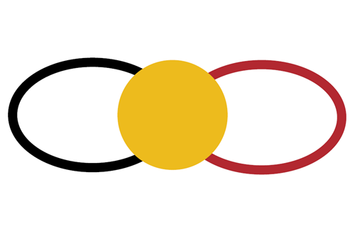 The Third Cultural Space (Davis, 2008)