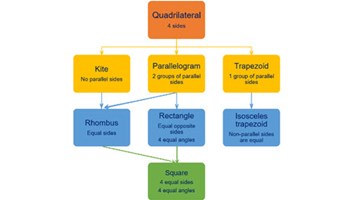 Algorithms: Year 7 – planning tool Image