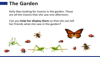 Collect, sort and compare data: Foundation: Planning tool