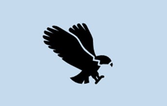 Flight of the osprey infographic Image