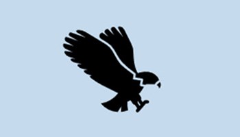 Flight of the osprey infographic Image