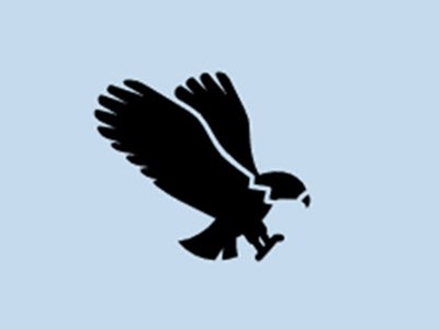 Flight of the osprey infographic Image