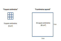 Fencing the yard Image