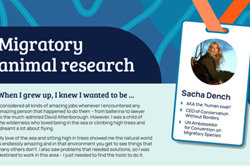Career profile: Sacha Dench, migratory animal research scientist Image