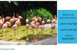 Estimation and reasonableness: Year 3 – planning tool Image