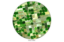 Circles and cylinders: Year 8 – planning tool Image