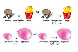 Algebra: Foundation to Year 9 Image