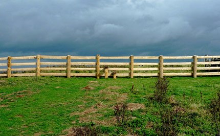 Area and perimeter: Year 7 – planning tool Image