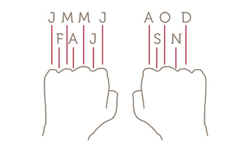 Time: Years F–8  Image