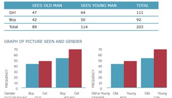 Data investigation and interpretation (Year 6) Image