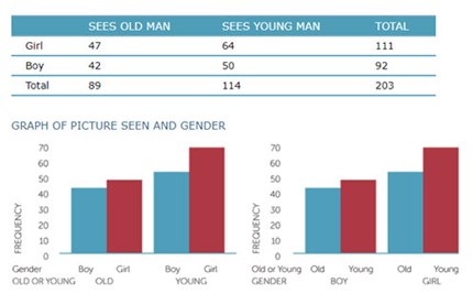 Data investigation and interpretation (Year 6) Image