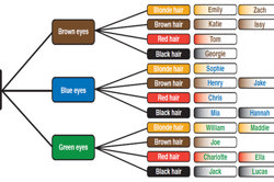 reSolve: Multiplication – Cartesian product Image
