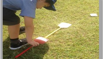 reSolve: Authentic Problems: Target Ball Image